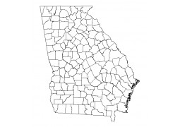 Georgia County GIS Shapefile