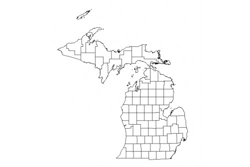 Michigan County GIS Shapefile