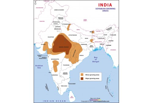 India Soyabean Growing States Map